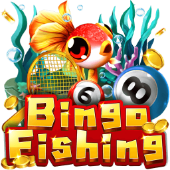 Câu Cá Bingo sc8888 game